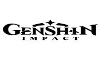 Genshin Impact Wallet Card
